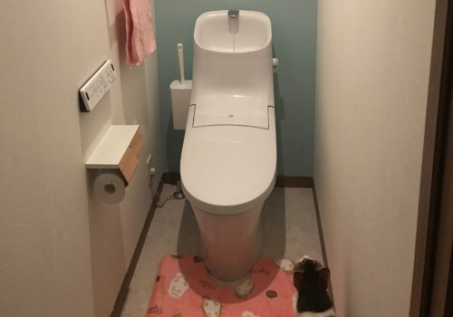 トイレ画像　NGカット